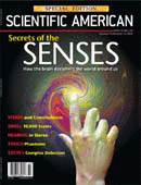 2006 Secret Of Senses